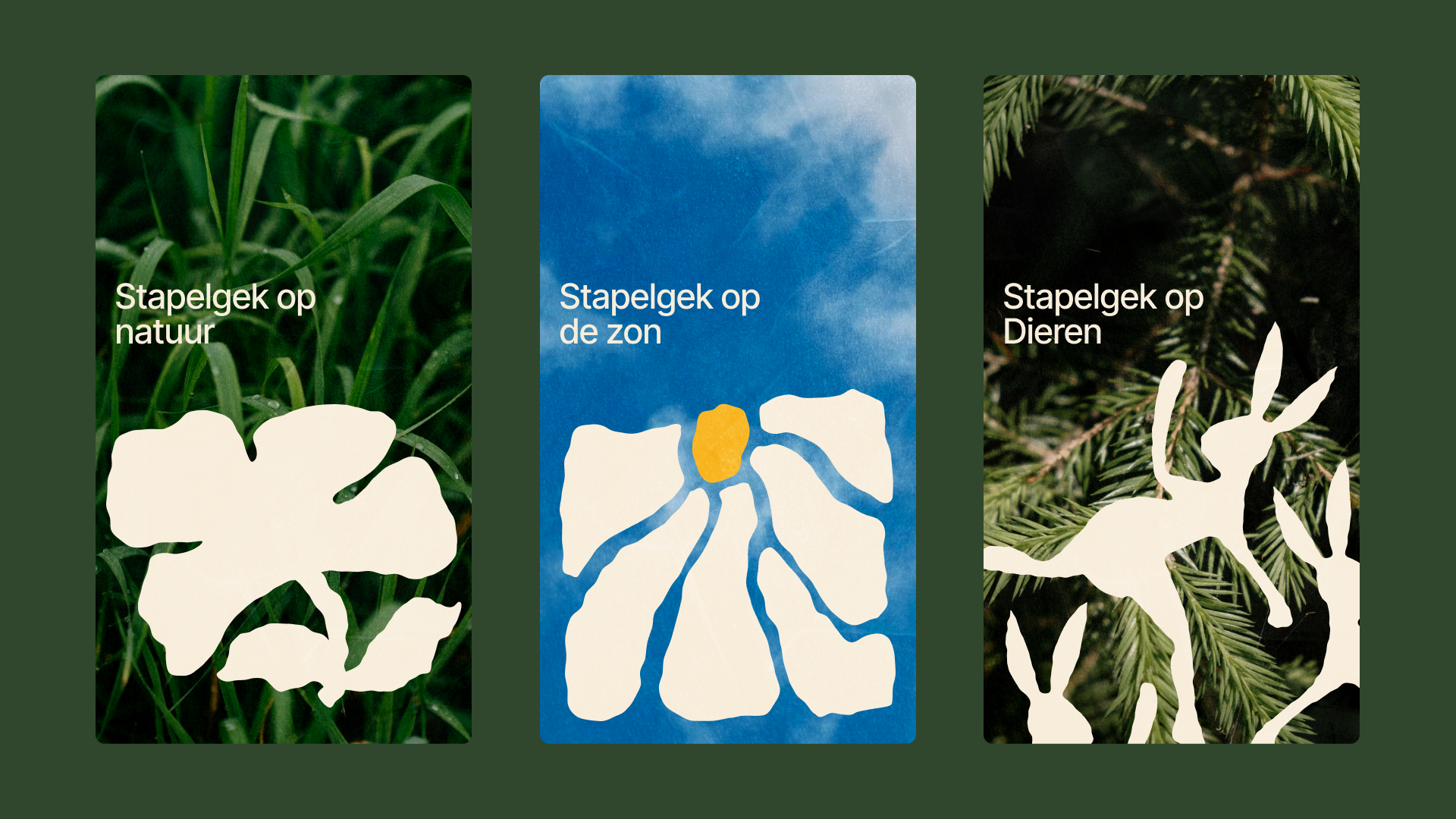 Visual overview of project